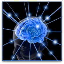 Dr. Susan Adler is Board Certified in School Neuropsychology